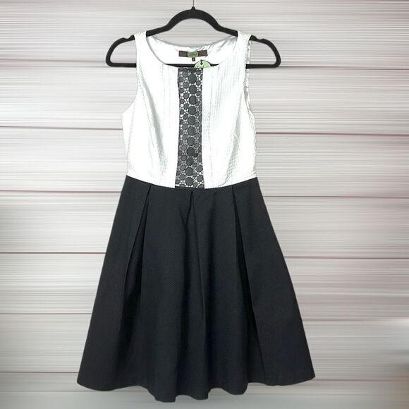 NWT Anthro Eva Franco Regina Dress White & Black Fit Flare Lace Detailing sz 2 - Picture 1 of 13
